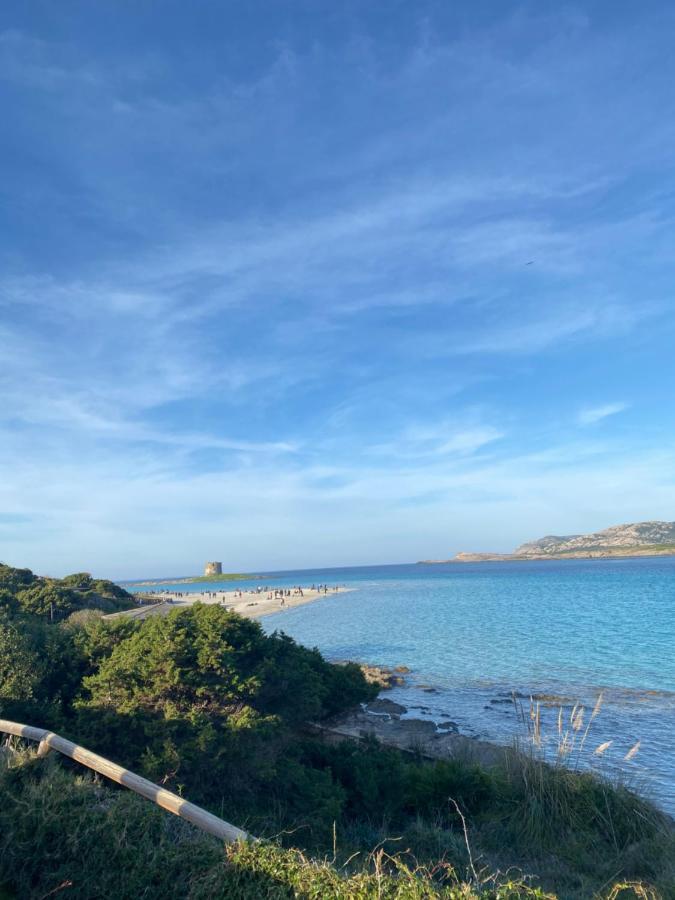Appartamento Coral Dream Alghero Esterno foto